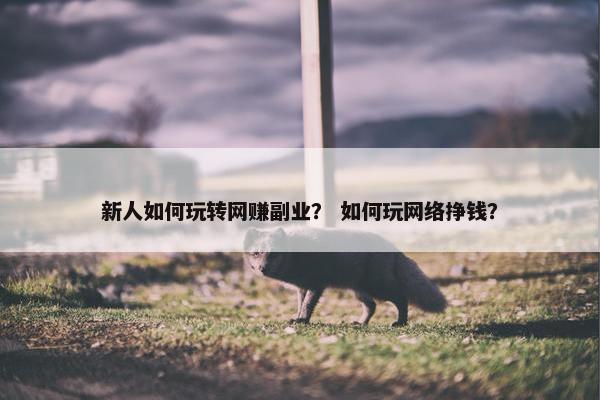 新人如何玩转网赚副业？ 如何玩网络挣钱？