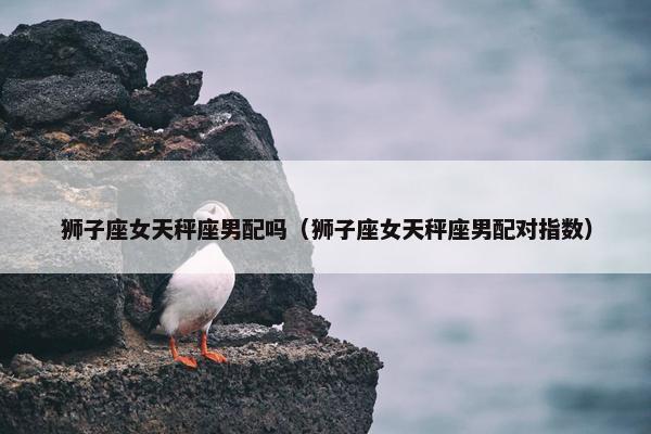 狮子座女天秤座男配吗（狮子座女天秤座男配对指数）