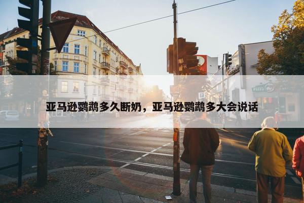 亚马逊鹦鹉多久断奶，亚马逊鹦鹉多大会说话