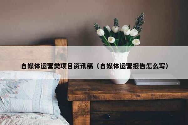 自媒体运营类项目资讯稿（自媒体运营报告怎么写）