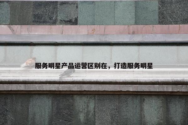 服务明星产品运营区别在，打造服务明星