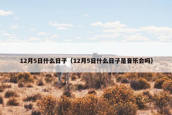 12月5日什么日子（12月5日什么日子是音乐会吗）