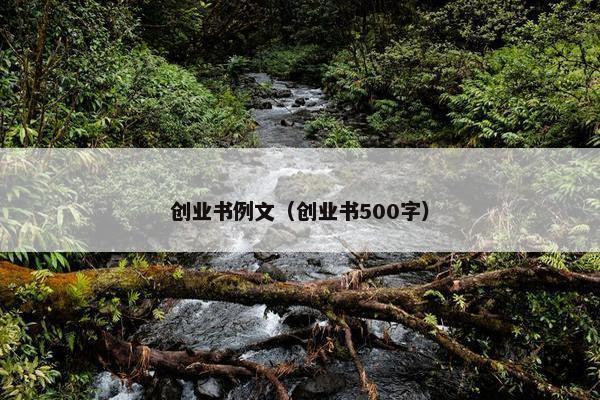 创业书例文（创业书500字）