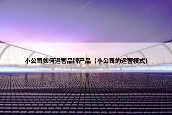 小公司如何运营品牌产品（小公司的运营模式）
