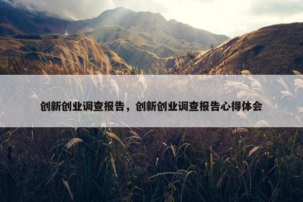 创新创业调查报告，创新创业调查报告心得体会