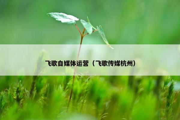 飞歌自媒体运营（飞歌传媒杭州）