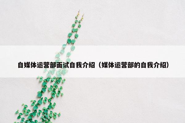 自媒体运营部面试自我介绍（媒体运营部的自我介绍）