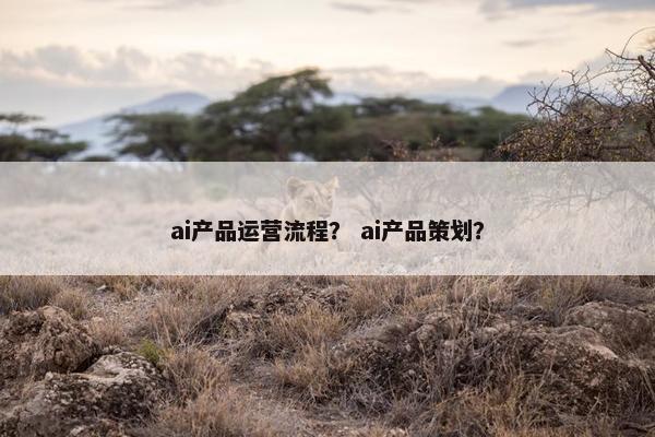 ai产品运营流程？ ai产品策划？