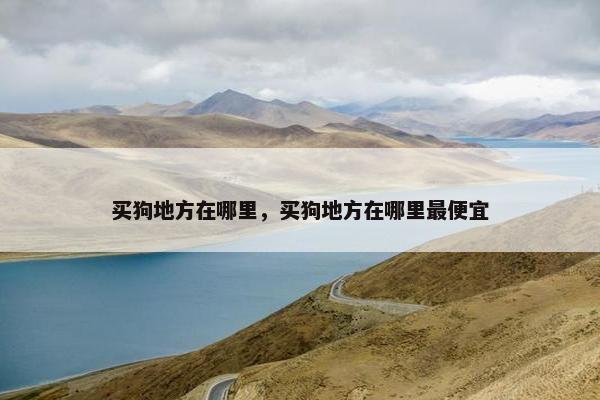 买狗地方在哪里，买狗地方在哪里最便宜