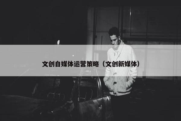 文创自媒体运营策略（文创新媒体）
