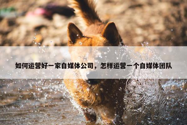 如何运营好一家自媒体公司，怎样运营一个自媒体团队