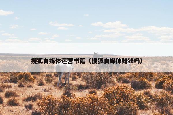搜狐自媒体运营书籍（搜狐自媒体赚钱吗）