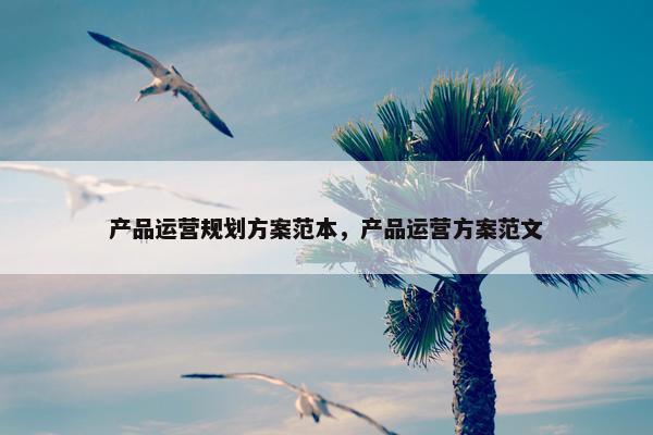 产品运营规划方案范本，产品运营方案范文