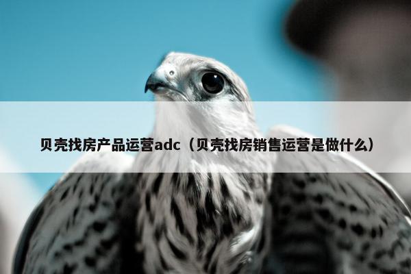 贝壳找房产品运营adc（贝壳找房销售运营是做什么）