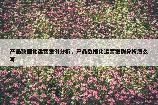 产品数据化运营案例分析，产品数据化运营案例分析怎么写