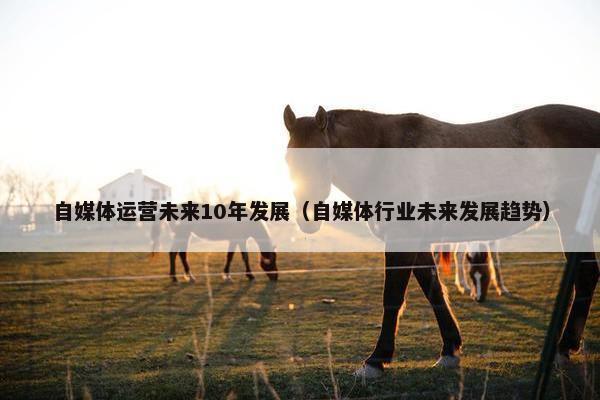 自媒体运营未来10年发展（自媒体行业未来发展趋势）
