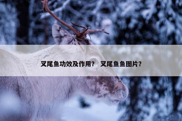叉尾鱼功效及作用？ 叉尾鱼鱼图片？