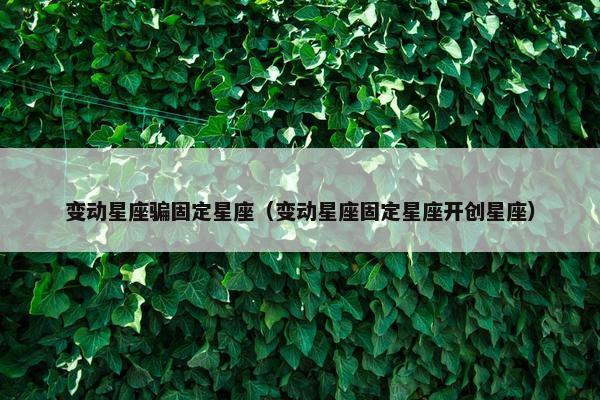 变动星座骗固定星座（变动星座固定星座开创星座）