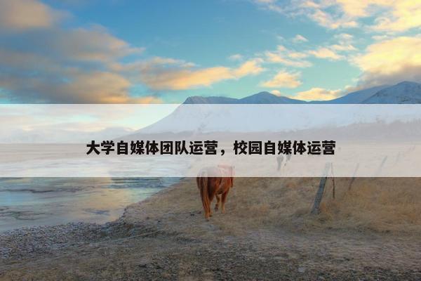 大学自媒体团队运营，校园自媒体运营