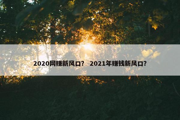 2020网赚新风口？ 2021年赚钱新风口？