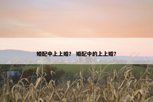 婚配中上上婚？ 婚配中的上上婚？