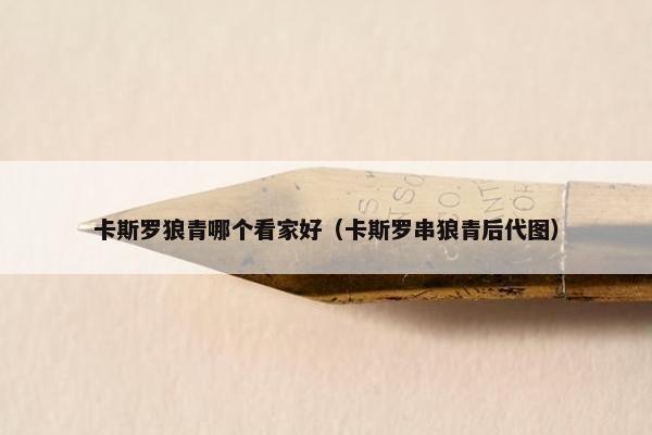 卡斯罗狼青哪个看家好（卡斯罗串狼青后代图）