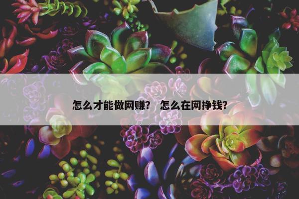 怎么才能做网赚？ 怎么在网挣钱？