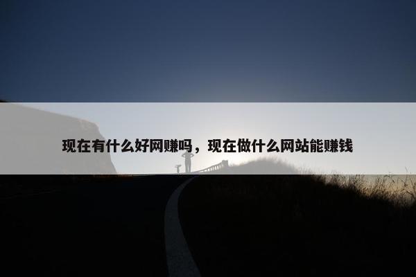 现在有什么好网赚吗，现在做什么网站能赚钱