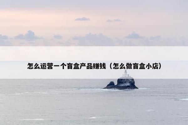 怎么运营一个盲盒产品赚钱（怎么做盲盒小店）
