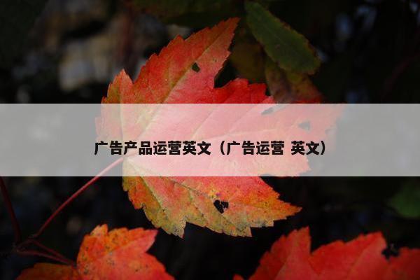 广告产品运营英文（广告运营 英文）