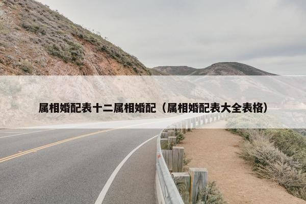 属相婚配表十二属相婚配（属相婚配表大全表格）