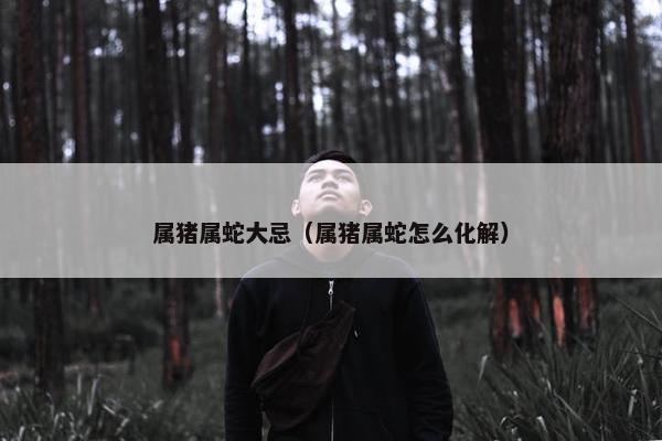 属猪属蛇大忌（属猪属蛇怎么化解）