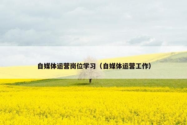 自媒体运营岗位学习（自媒体运营工作）