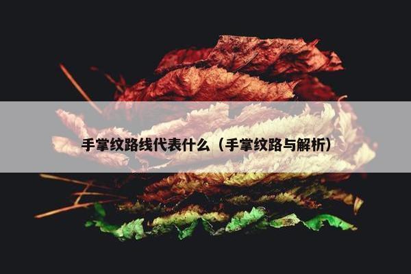 手掌纹路线代表什么（手掌纹路与解析）