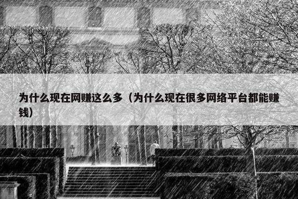 为什么现在网赚这么多（为什么现在很多网络平台都能赚钱）