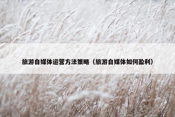 旅游自媒体运营方法策略（旅游自媒体如何盈利）