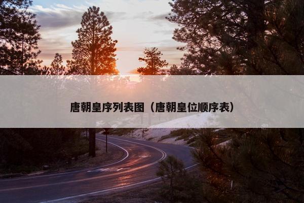唐朝皇序列表图（唐朝皇位顺序表）
