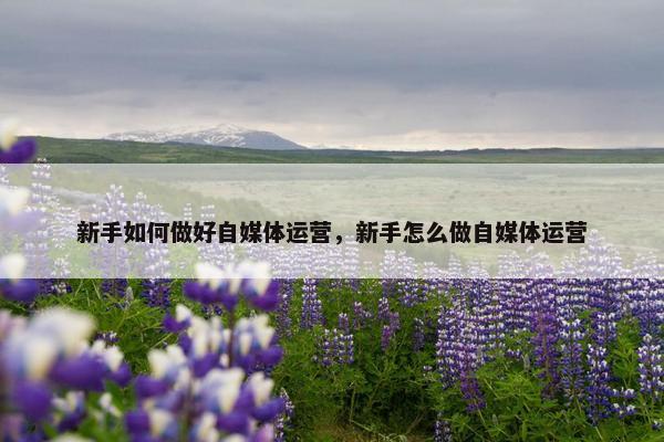 新手如何做好自媒体运营，新手怎么做自媒体运营