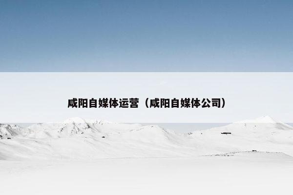 咸阳自媒体运营（咸阳自媒体公司）