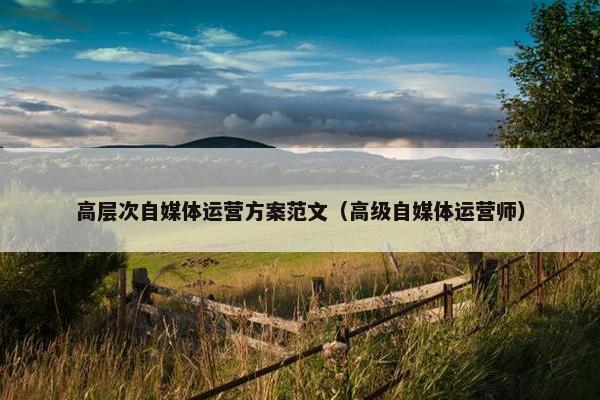 高层次自媒体运营方案范文（高级自媒体运营师）