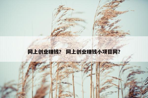 网上创业赚钱？ 网上创业赚钱小项目网？