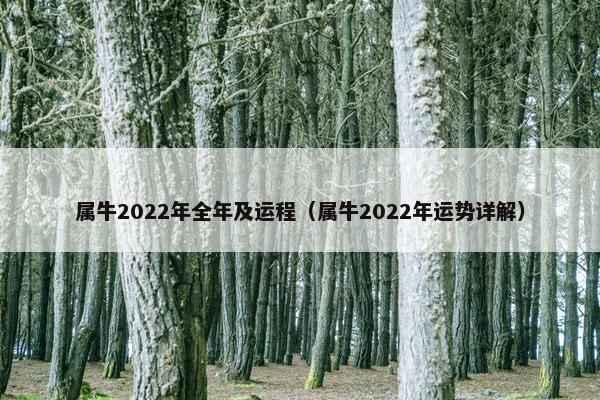 属牛2022年全年及运程（属牛2022年运势详解）