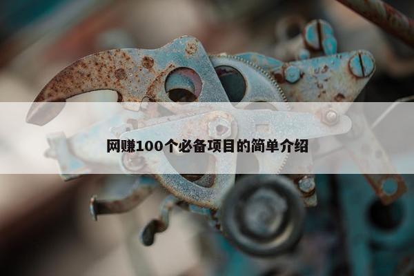 网赚100个必备项目的简单介绍