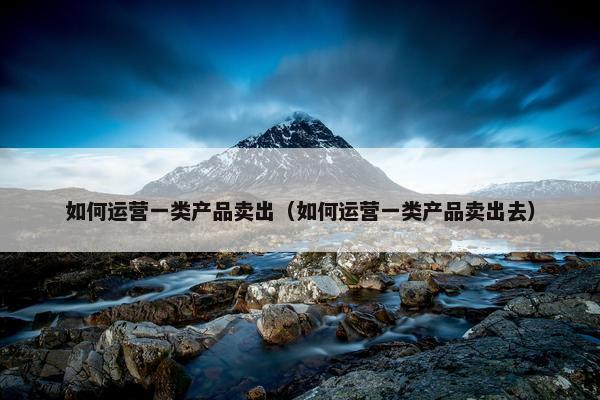 如何运营一类产品卖出（如何运营一类产品卖出去）