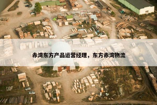 赤湾东方产品运营经理，东方赤湾物流