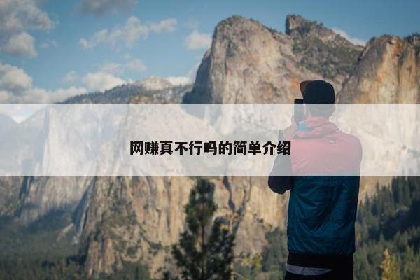网赚真不行吗的简单介绍
