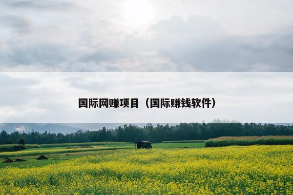 国际网赚项目（国际赚钱软件）
