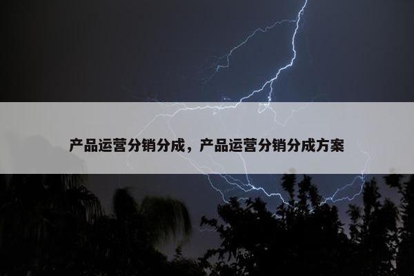 产品运营分销分成，产品运营分销分成方案