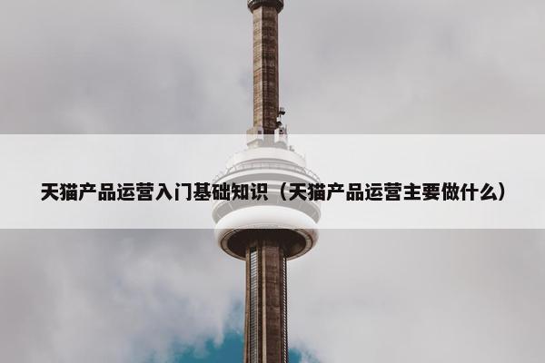 天猫产品运营入门基础知识（天猫产品运营主要做什么）