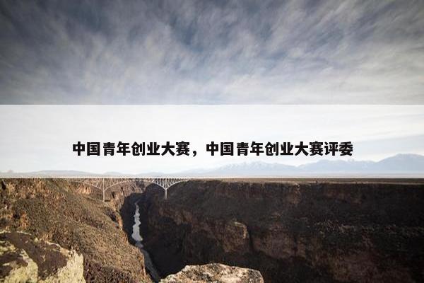 中国青年创业大赛，中国青年创业大赛评委